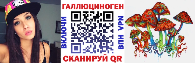 Галлюциногенные грибы Psilocybe  OMG как зайти  Слюдянка 